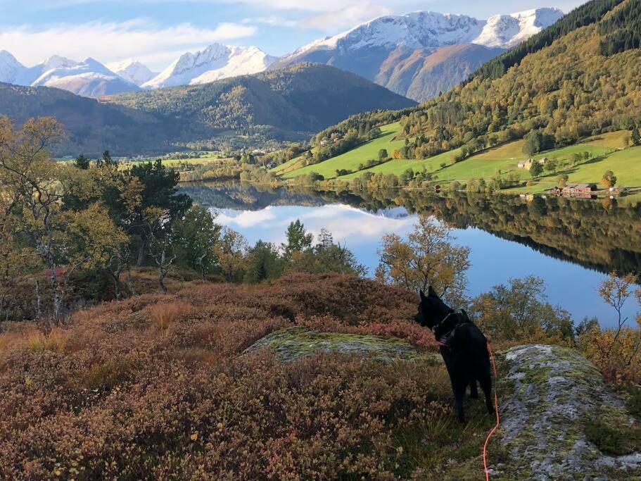 Apartamento Minihus Med Drommeutsikt Til Sunnmorsalpene Aure  Exterior foto