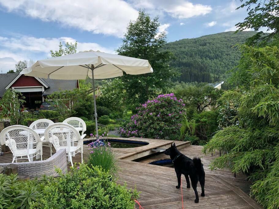 Apartamento Minihus Med Drommeutsikt Til Sunnmorsalpene Aure  Exterior foto